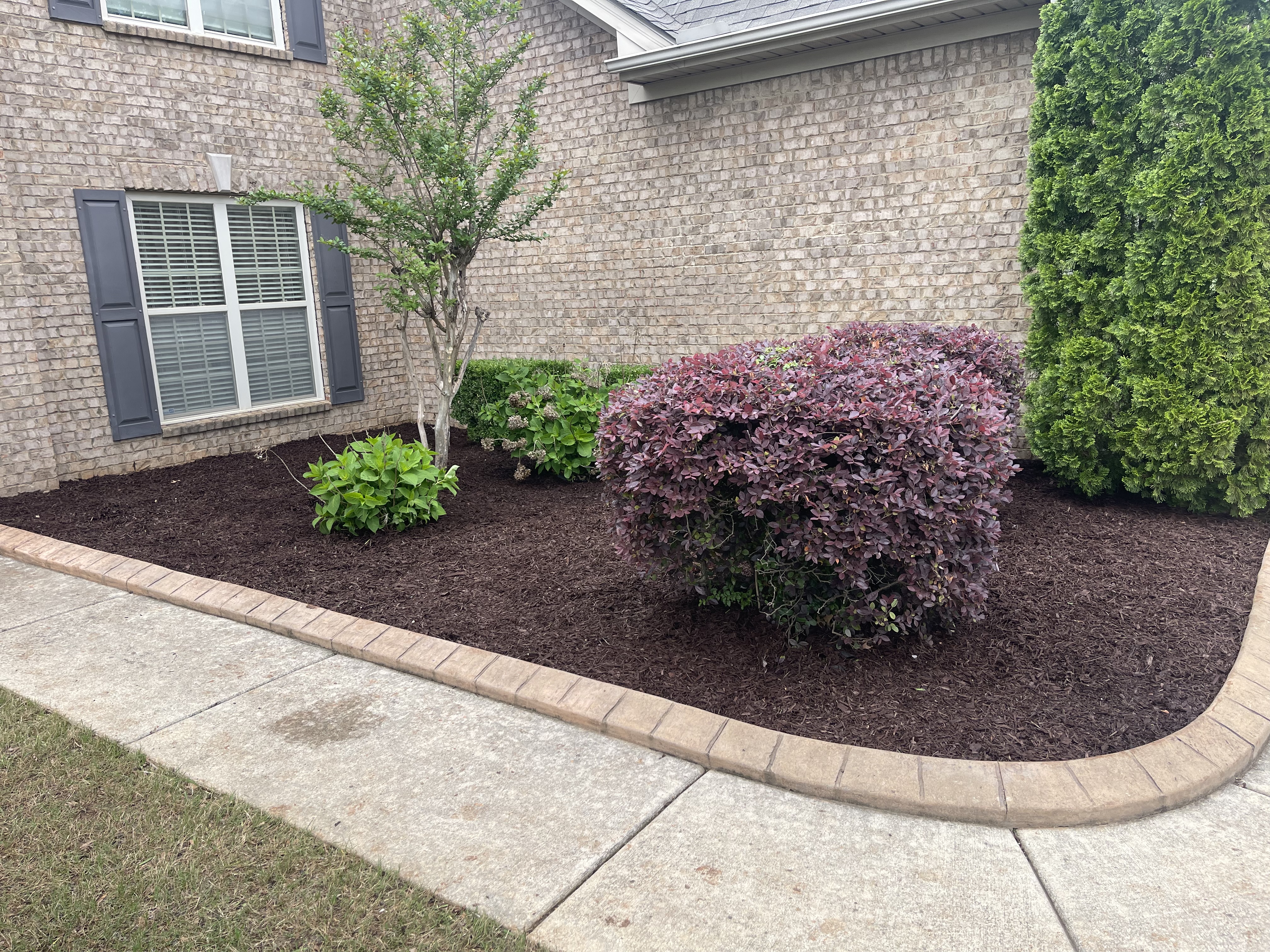 Mulch Installation